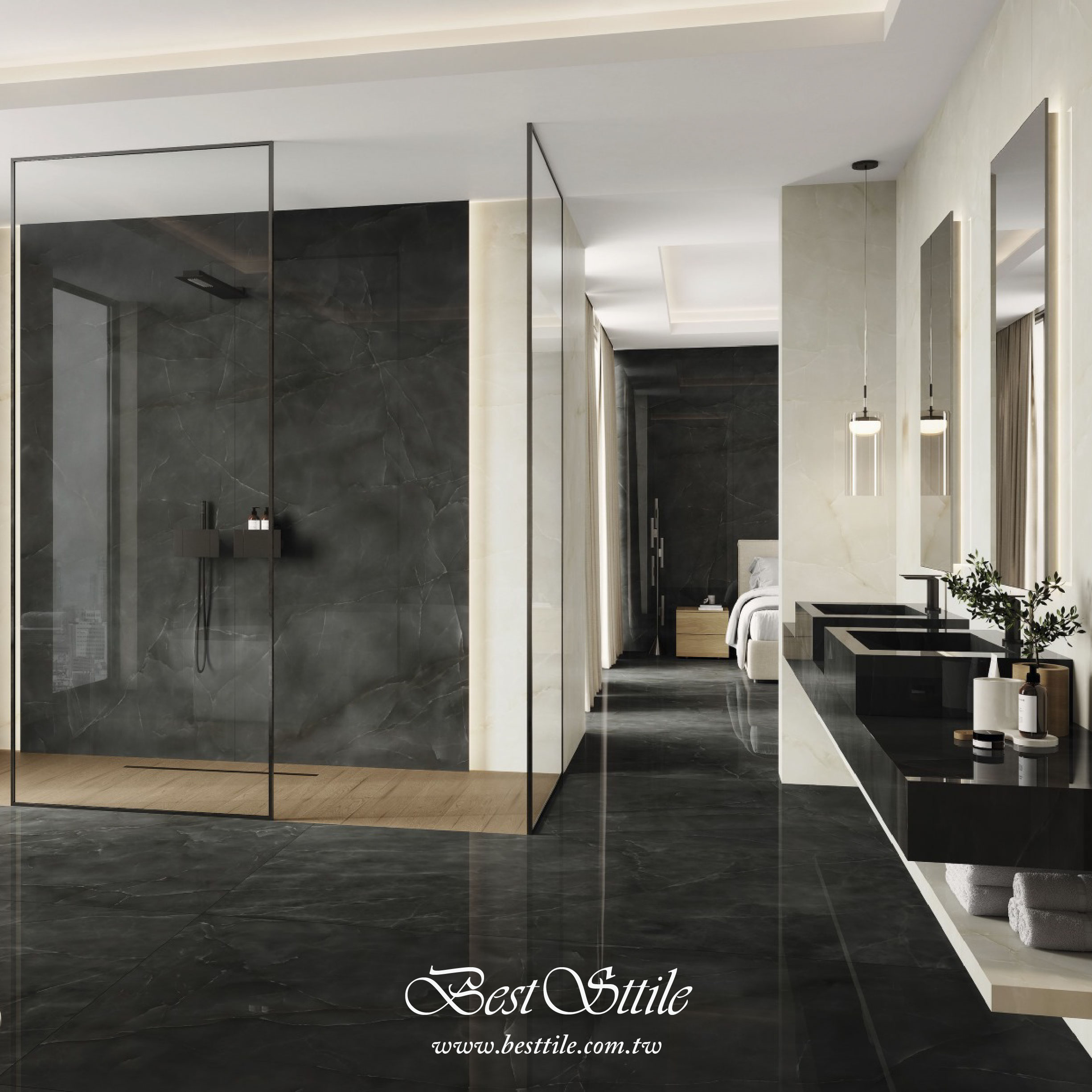 黑天鵝圖片